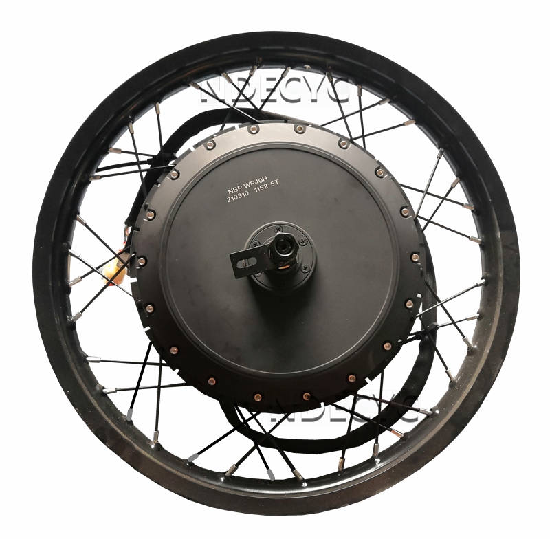 US Stock NBpower/QS V3 273 40H - Qs Motor 273 8000W Hub Motor ulasan dan harga